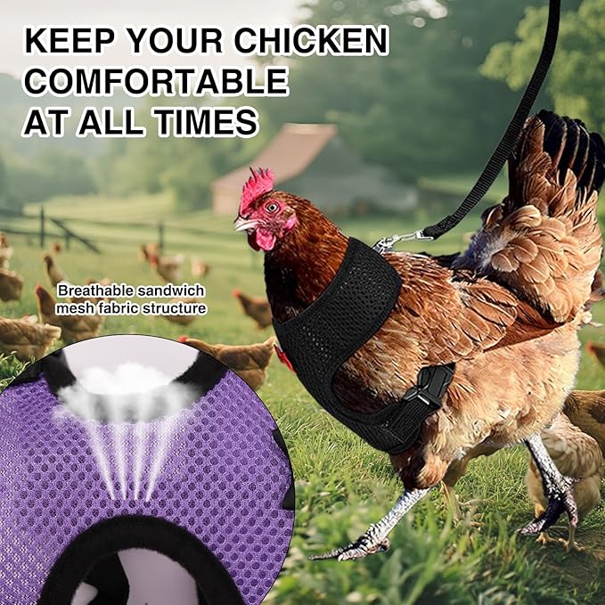 4 Pcs Chicken Harness and Leash, Adjustable Elastic Training Chicken Leash for Hens Duck Goose Pet (Medium)