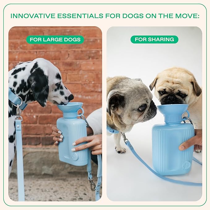 Springer Dog Water Bottle | Large Capacity Drinking Feeder Dispenser for Dogs & Puppies | As Seen on Shark Tank | Leak-Proof Bowl | BPA-Free | Outdoor Walking, Hiking & Camping | 44oz Gray