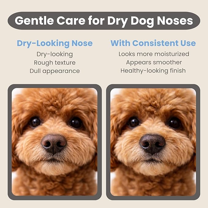 Ali+Oli Pets Paw & Nose Balm for Dogs – Daily Paw Care Grooming Balm with Organic Oils – Gentle Moisturizing Balm for Dry, Rough Paw Pads