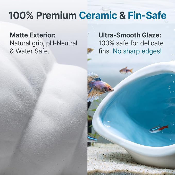Ceramic Aquarium Cave, White Conch Shell Betta Fish Tank Decor | Smooth Glaze and Rounded Edges Create a Roomy Hideout for Betta Fish, Shrimp, Pleco and Dwarf Cichlids; 5.91 x 3.74 x 3.35 in