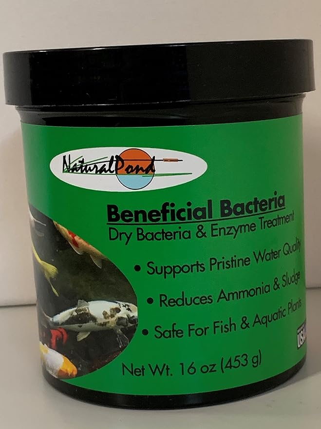 Dry Beneficial Bacteria, 16 Ounces