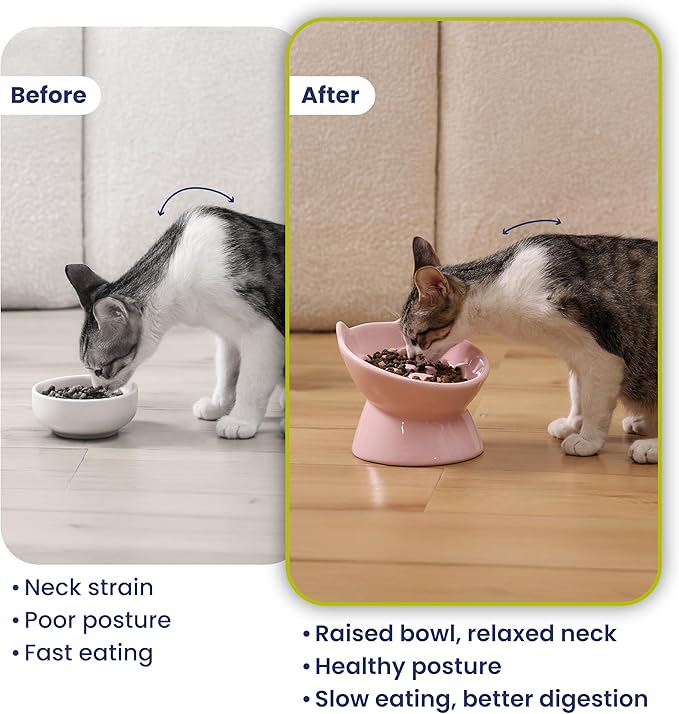 PawsPik Lynx Ceramic Raised Slow Feeder Dog & Cat Bowl, Tilted 15° Elevated Pet Food Bowl, Whisker-Friendly Anti-Choking Dish, Dishwasher Safe (Quartz Pink)