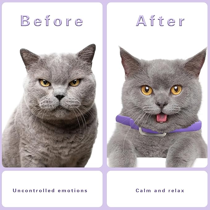 Simnice 4 Pack Calming Collar for Cats - Cat Pheromone Calming Collar Reduce Anxiety Stress for Pets, Long-Lasting Cat Calm Collars Adjustable Calm Collars for Cats