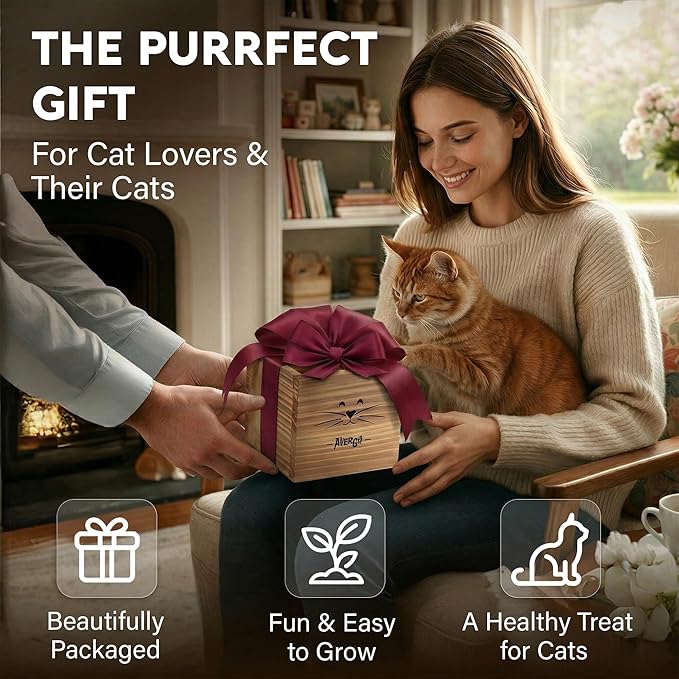 Cat Grass Kit for Indoor Cats – x2 Seed Packets | Cat Grass Seeds with Wooden Planter & Soil for Nipping & Nibbling – Pet Wheatgrass Grass
