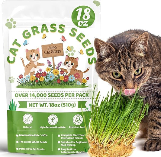 18oz Cat Grass Seeds Bulk - Over 14000+ Premium Cat Grass for Indoor Cats & Pets, High Germination Rate & Easy to Grow, Non-GMO Wheat Grass Seed for Planting(510g)