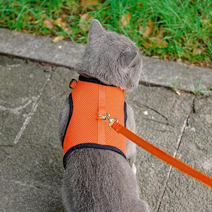 PUPTECK Soft Mesh Cat Vest Harness and Leash Set Puppy Padded Pet Harnesses Escape Proof for Cats Small Dogs Rabbits Bunny, Orange M