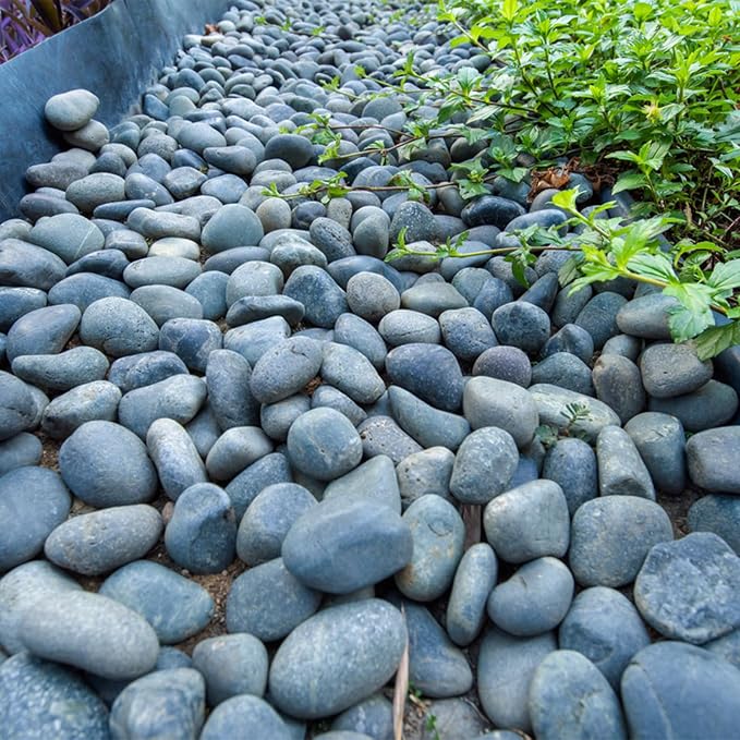 FANTIAN 40 lbs Black River Rocks for Landscaping, 2-3 Inch Pebbles | Large Black Stones Decorative Black Rocks for Garden,Plants, Paving, Fountain, Walkways, Outdoor, Safe for Fish
