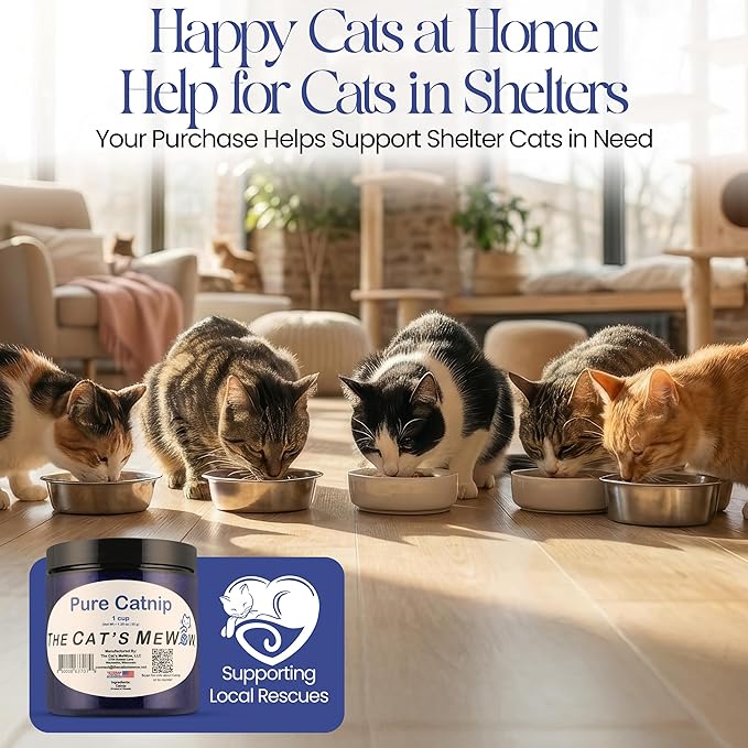 The Cat's MeWow 100% Pure Catnip – North American Grown – Strong Aroma for Play & Enrichment – Resealable Freshness Jar – Veteran-Owned Brand
