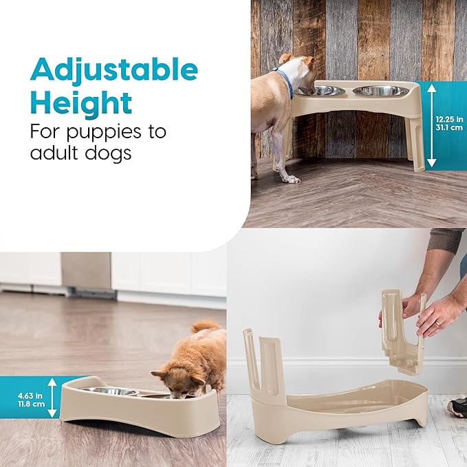 IRIS USA Elevated Dog Bowls Adjustable Stand, Raised Feeding Station with 2 Stainless Steel 64 oz Bowls, Spill Guard, Dual Height 12.25" or 4.63", Made in USA, Almond