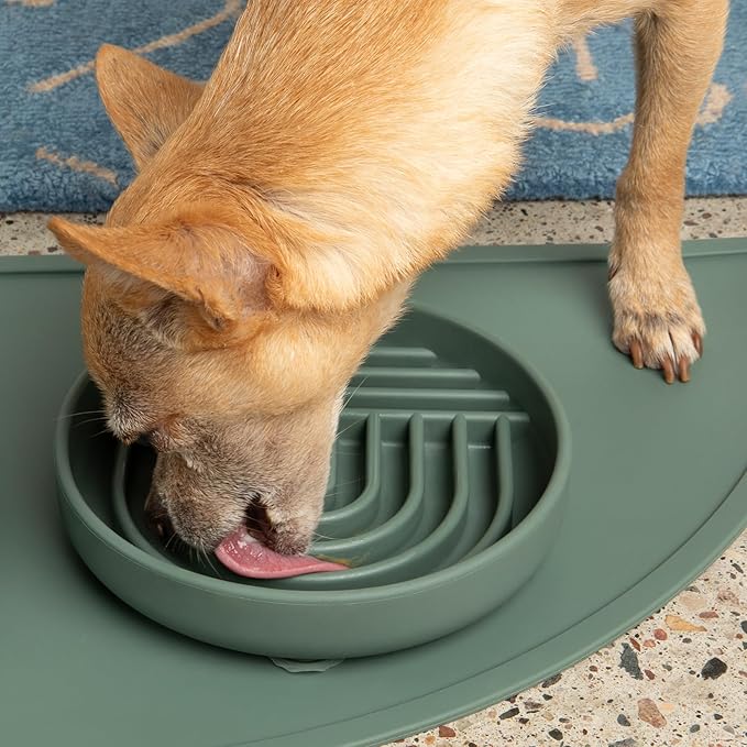 Should We Go? Slow Feeder for Dogs & Cats, The Slowdown Bowl Silicone Slow Eating Mealtime Solution with Modern Lick Mat Design, Reduces Gulping, Fits 1 Cup, 6” Across x 1.25” Tall, Small-Spruce