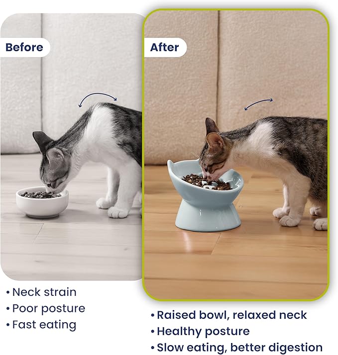 PawsPik Lynx Ceramic Raised Slow Feeder Dog & Cat Bowl, Tilted 15° Elevated Pet Food Bowl, Whisker-Friendly Anti-Choking Dish, Dishwasher Safe (Sky Blue)