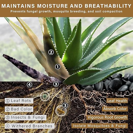 3lb Black River Rocks for Plants Indoor, 2-3Inch Pebbles for Vases Fillers, Decorative Gravel for Fish Tank, Natural Polished Stones for Succulent, Bonsai, Landscaping, Bird Baths