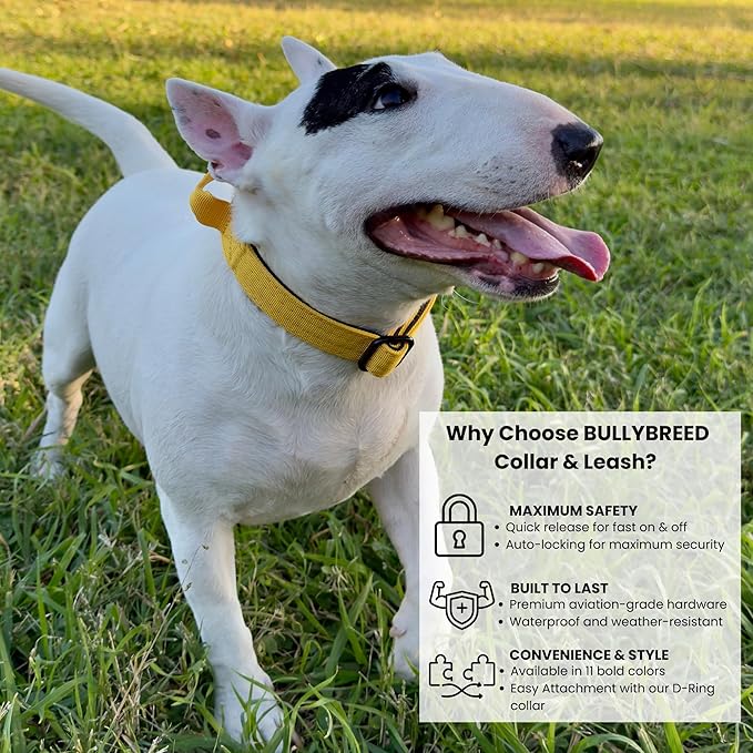Tactical Dog Collar for Puppy, Heavy Duty Puppy Collar, Dog Collar for Small Dogs, Waterproof Dog Collar, Dog Training Collar, Quick-Release Metal Buckle, Adjustable Sizes – BULLYBREED (Yellow, Small)