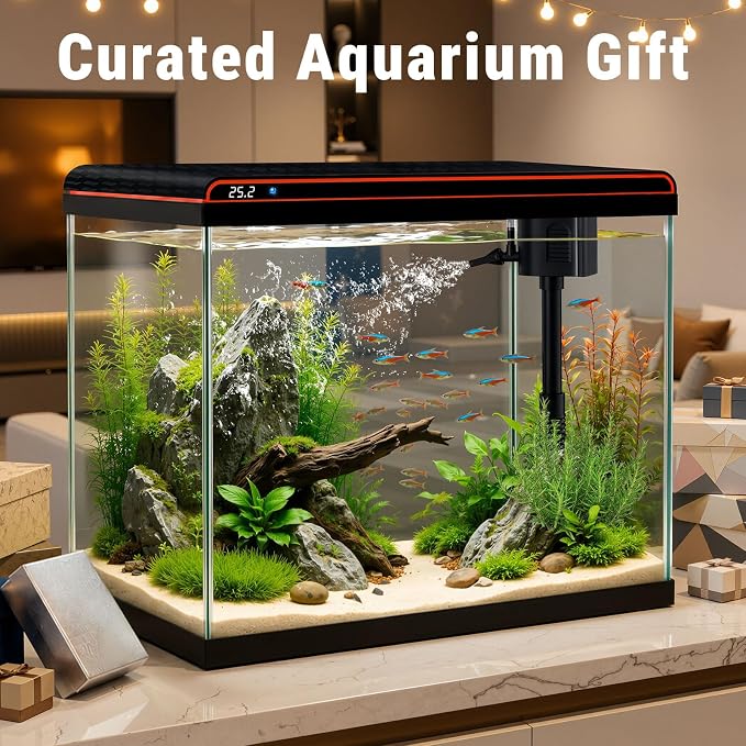 20 Gallon Glass Fish Tank, Betta Smart Aquarium Kit, Large Aquarium Starter Kits Self Cleaning with 3 Types of LED Lights and Filter Water Pump, Water Temperature Detection Ultra Quiet Gift for Kid