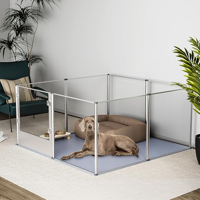 BingoPaw Clear Dog Playpen Fence: 32” Extra Tall Indoor Doggy Acrylic Pen Made by Metal Frame - 52”x52” Transparent Pet Whelping Box with Waterproof Bottom