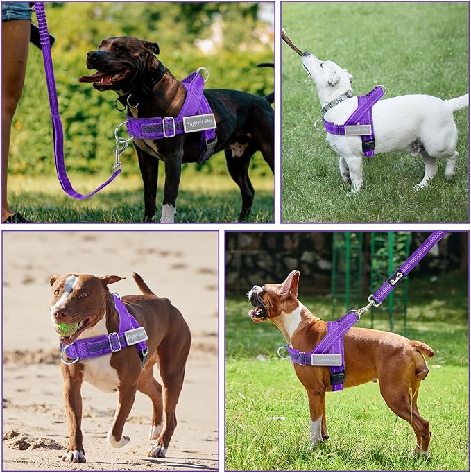 Lukovee No Pull Dog Harness & Leash Set - Heavy Duty Dog Vest Harness with Soft Padded for Medium Large Dogs, Adjustable Reflective Tactical Pet Harness for Easy Walk and Training (M, PU)