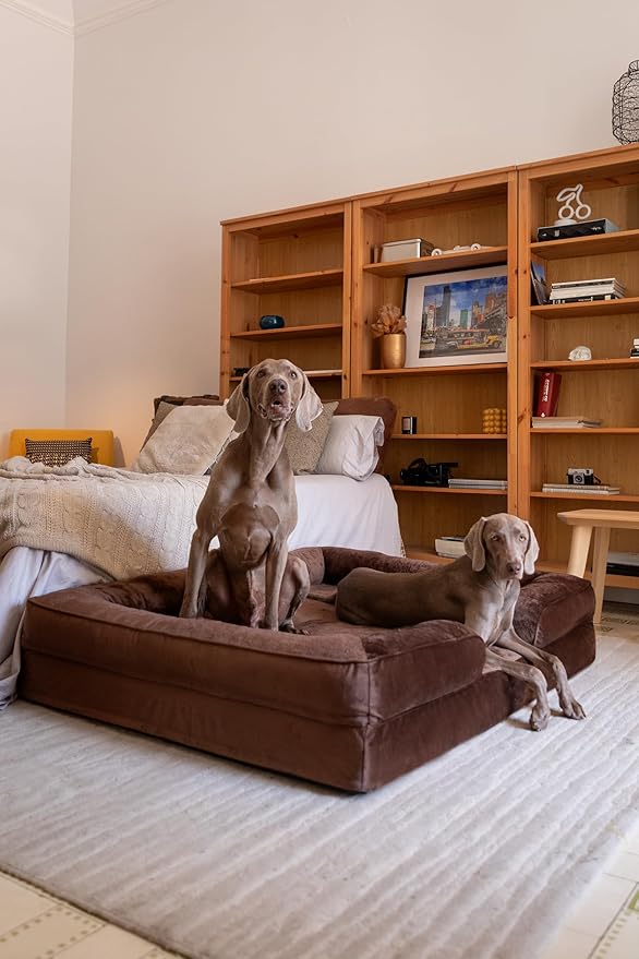 NOAH & PAW Giant Dog Bed XXL, 55x45x11 Inch, Orthopedic Dog Beds, Eggshell Memory Foam Infused with Cooling Gel, Inner Cover, Waterproof, Machine Washable (Velvet Sofa Collection)