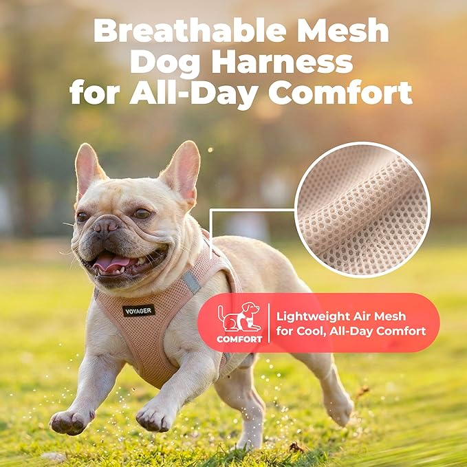 Best Pet Supplies Voyager Step-in Air Harness - All Weather Mesh, Reflective, No Pull Harness for Dogs, Cats - Secure with Hook & Loop Fastener, Buckle, Double D-Rings - Khaki, XS