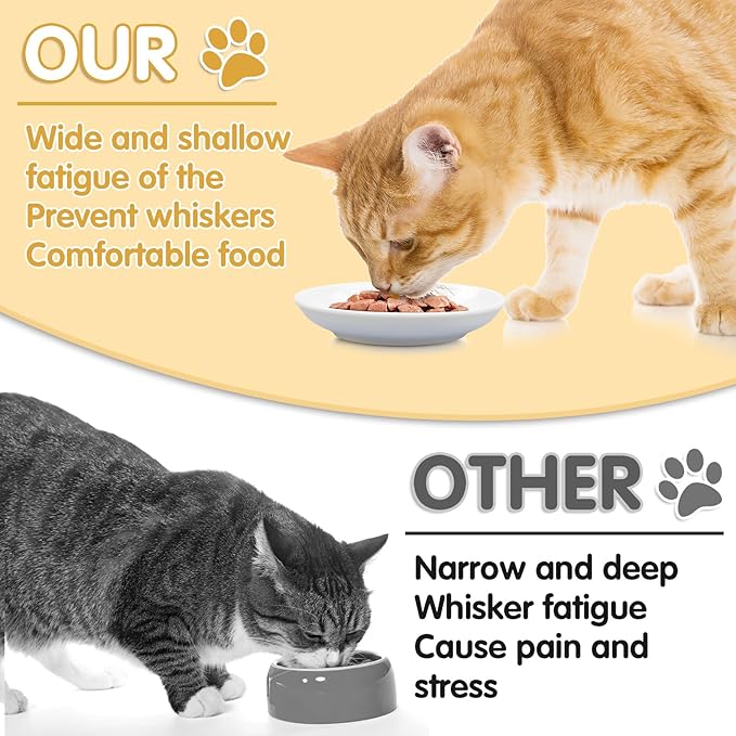 6 Pack Cat Food Bowl, Ceramic Cat Bowls, Anti Whisker Fatigue Cats Bowl Set,5.5 Inches Shallow Wide Kitten Plates for Food and Water (White-B)