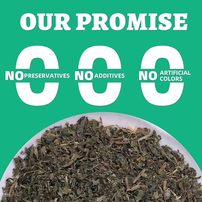 Wellix Fresh Catnip for Cats, Natural Dried Catnip Leaves, Flowers & Stems - Fresh Aroma, Used as Treats or Refillable Cat nip Toys, Non-addtictive, Safe for Indoor Kittens 1.06oz