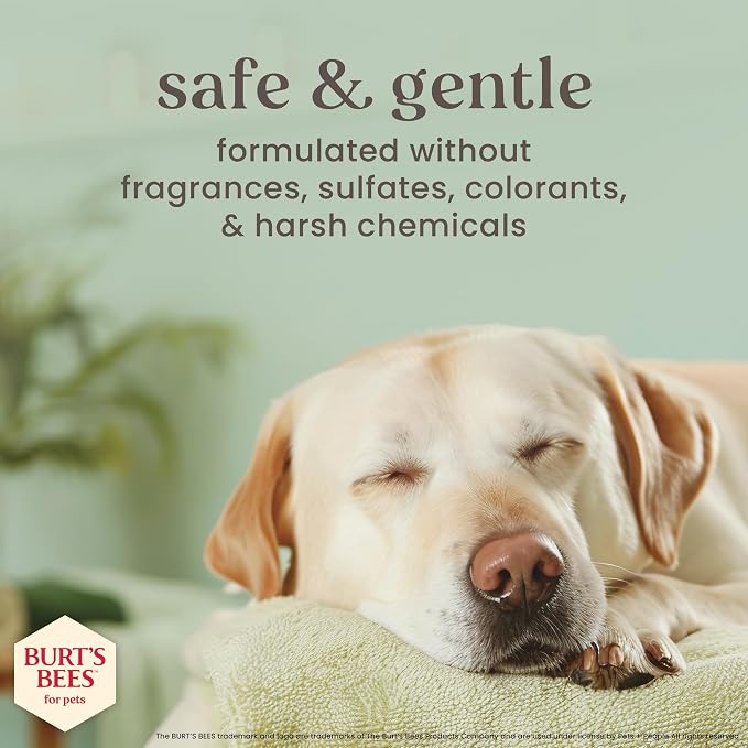Burt's Bees for Pets Manuka Honey Oatmeal Shampoo for Dogs, Colloidal Oatmeal & Coconut Oil, 95%+ Natural Origin, No Sulfates, Parabens or Phthalates, Milk & Honey Scent, 16 Fl Oz