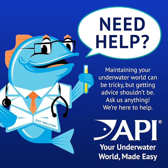 API POND ALGAEFIX (16 fl oz) Pond Algae Control - Copper Free - Clean, Clear Water - Up to 4800 Gallons - Safe for Fish & Plants - Water Gardens, Fountains - Natural Active Ingredient - EPA-Registered