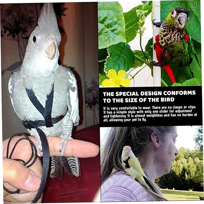Bird Harness, Adjustable Bird Leash Pet Training Supplies Anti-bite Outdoor Flying Nylon Rope for Conures Budgerigar Lovebird Cockatiel Mynah