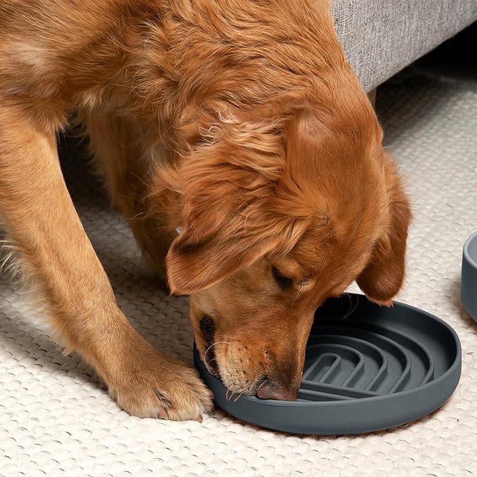 Should We Go? Slow Feeder for Dogs & Puppies, The Slowdown Bowl Silicone Slow Eating, Modern Lick Mat Design, Reduces Gulping, Fits 2.5 Cups 9.5” Across x 1.5” Tall, Mealtime Challenge, Large-Charcoal
