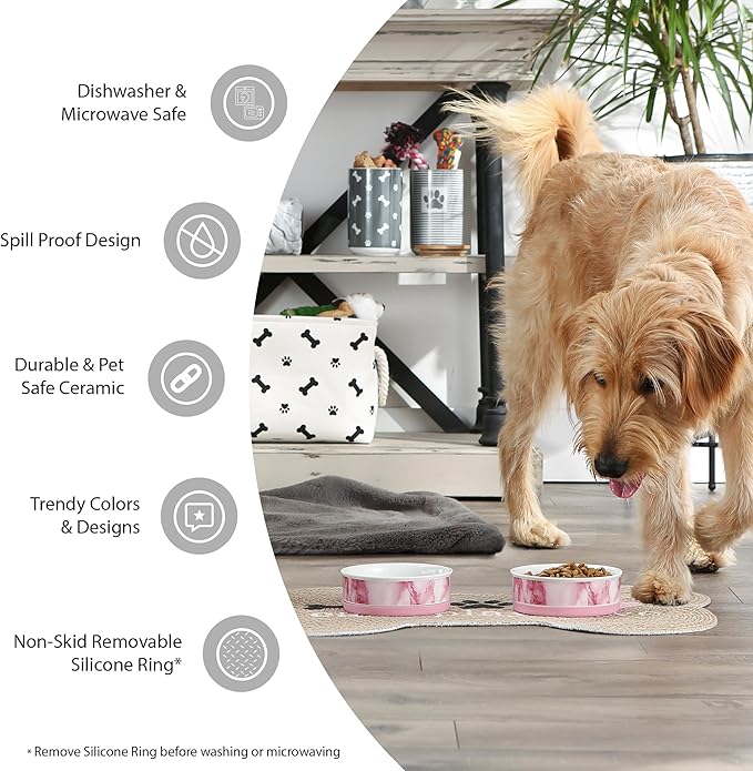 Bone Dry Ceramic Food Bowls, Non-Slip & Dishwasher Safe, Medium Set, 6x2 Terrazzo