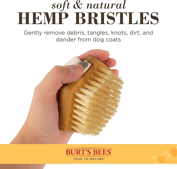Burt's Bees for Pets Palm Brush with Hemp Bristles for Large Dogs, Ergonomic Handle Reduces Wrist Stress, Removes Dirt and Debris, Ideal for Daily Grooming, Made of Bamboo & Recycled Materials - 24 Pk