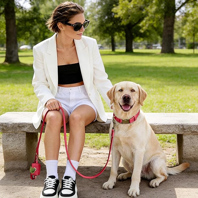 Didog Soft PU Leather Dog Collar, Stylish Quick Released Dog Collar for Large Dogs, Easy Clean Adjustable Pet Collar for Daily Walking, Red, L Fit 16-22" Neck