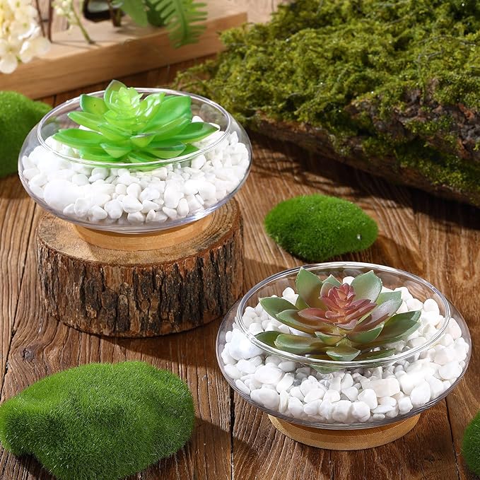 Baderke 8 Sets Glass Planter Bowls for Flowers with Tray 6'' Round Glass Vase Bowl Hydroponic Lotus Planter Pot Propagation Vases Fish Bowl for Plants Indoor Windowsill Kitchen Desktop Wedding Decor