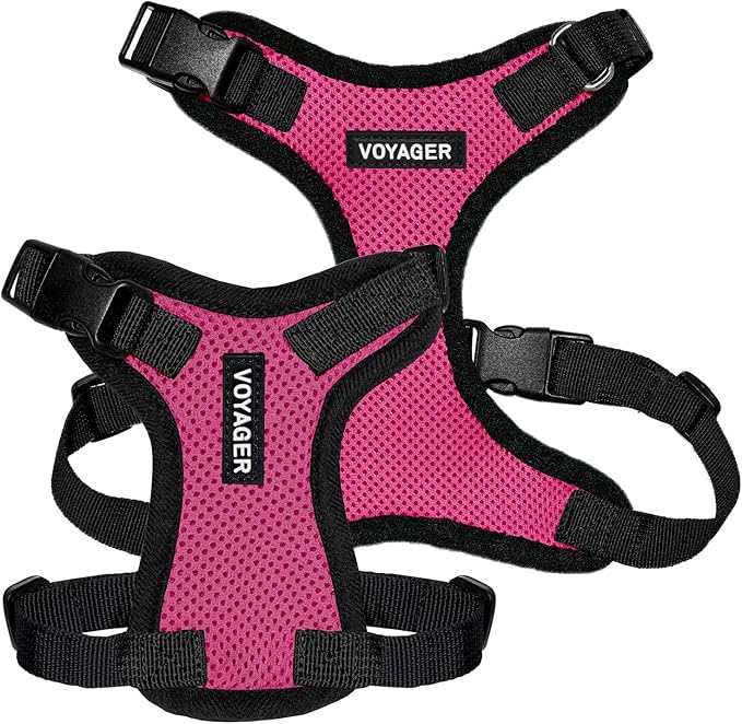 Voyager Step-in Pet Harness - All Weather Mesh, Adjustable Step in Harness for Cats and Dogs by Best Pet Supplies - Fuchsia/Black Trim, XL