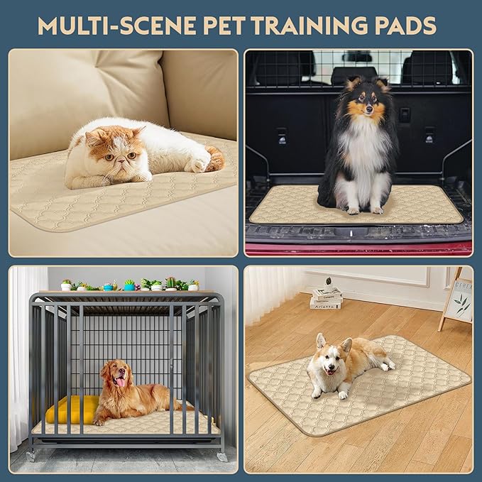 FunFurry Washable Pee Pads for Dogs - 2 Pack Reusable Waterproof Puppy Training Pads, Super Absorbent with Dog Paw Shape Non-Slip Backing (Cream, 36" X 36" - 2 Pack)
