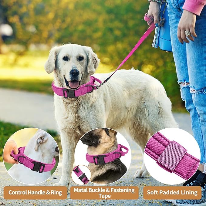 Tactical Dog Collar Heavy Duty Metal Buckle with Handle for Dog Training (Pink, M)