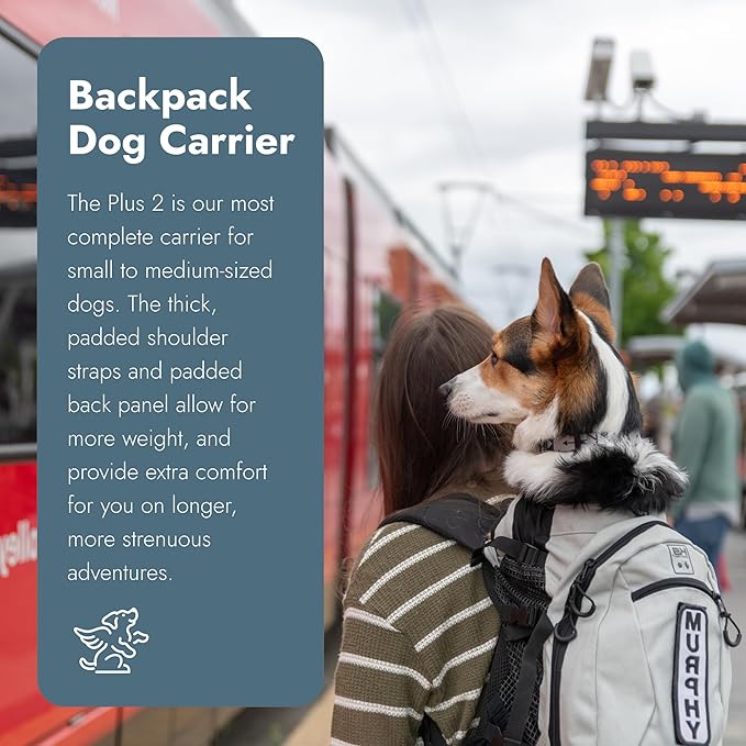K9 Sport Sack Plus 2 - Large, Light Grey - Ideal for Dogs 20-22” Long - Adjustable, Backpack-Style Carrier with Multi-Functional Storage Pack, Thick Shoulder Straps & Padded Back Panel