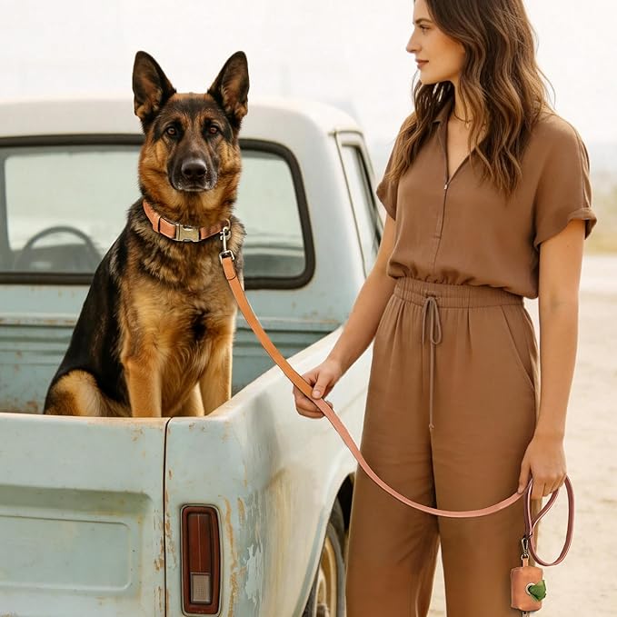 Didog Soft PU Leather Dog Collar, Stylish Quick Released Dog Collars for Large Dogs, Easy Clean Adjustable Pet Collar for Daily Walking, Light Brown, XL Fit 20-26" Neck