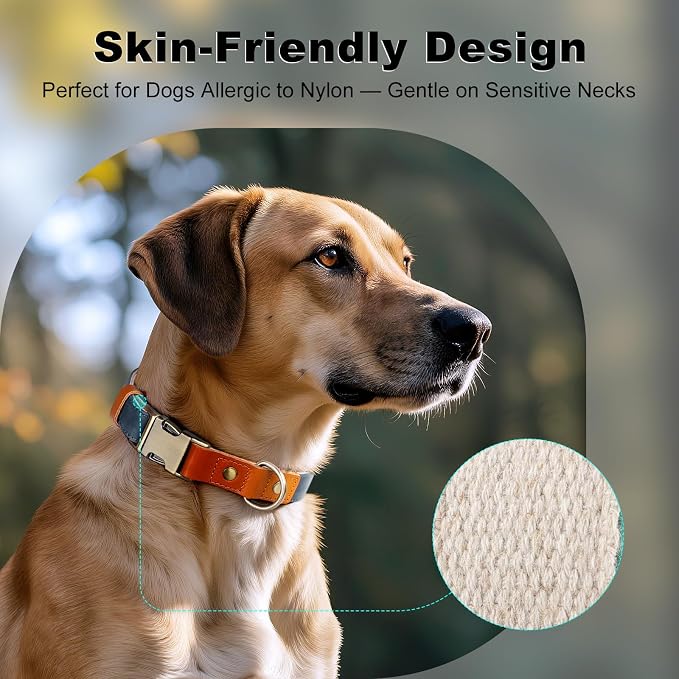 Plutus Pet Genuine Leather & Hemp Dog Collar – Adjustable Heavy Duty Pet Collar with Quick Release Metal Buckle, Soft & Stylish for Puppy and Small, Medium, Large Dogs (Blue, S)