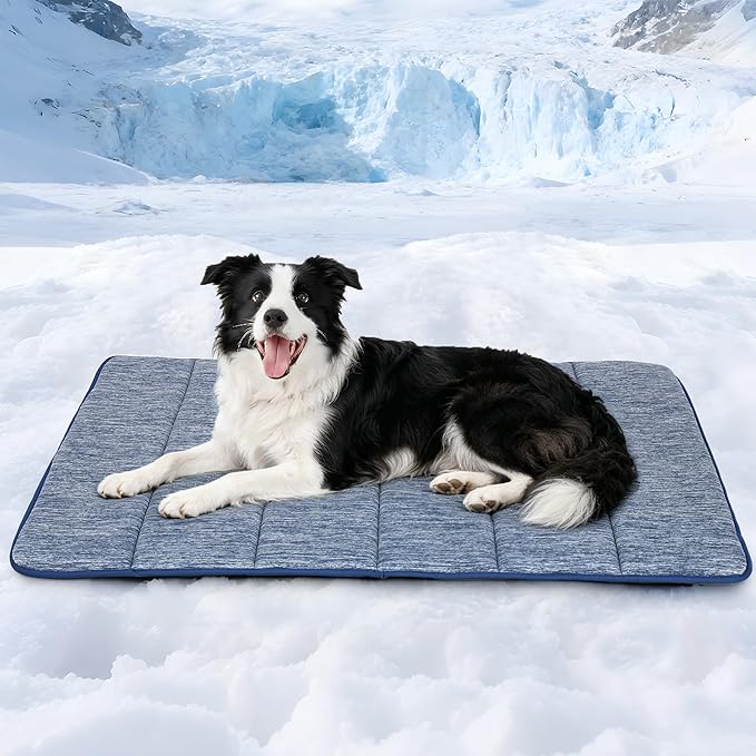 Cooling Dog Mat Q-Max>0.5 - Rapid Cooling Tech, Thin Breathable Crate Pad, Portable Washable Summer Mat, Chill Soothing Fabric - 35"x23" Large Dog, Wander Blue