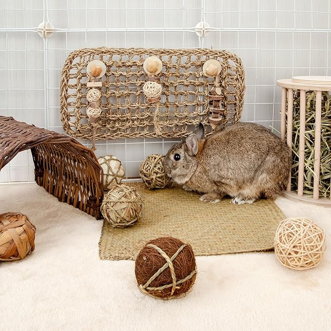 andwe Small Animals Play Balls Rolling Chew Toys & Gnawing Treats for Rabbits Guinea Pigs Chinchilla Bunny Degus - Pet Cage Entertainment Accessories (Pack of 9)