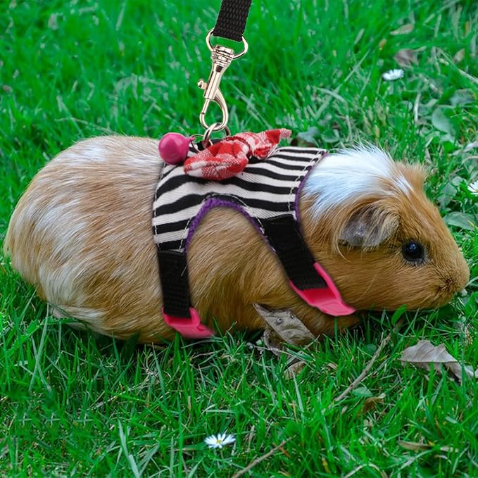 Hypeety Small Animal Harness Vest and Leash Set Soft Mesh Small Pet Harness Hamster Rabbit Chest Back Outdoor Leash Traction Rope for Ferret Guinea Pig Kitten Clothes Accessory (M, Black Stripe)