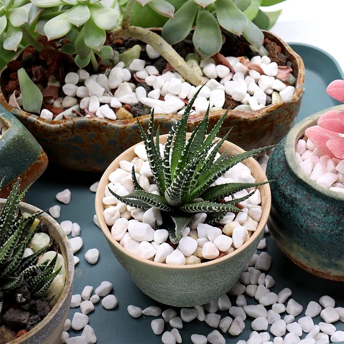 White Rocks for Plants & Planters, Decorative Pebbles, 1/5 Inch, 2 lb