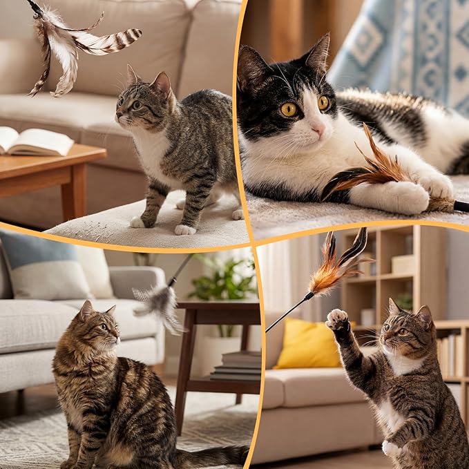 Leitee 25 Pcs Cat Wand Toy Feather Stick Cat Toy Bulk Feather Toys and Teaser Wand Bulk Interactive Stick for Indoor (Classical Color)