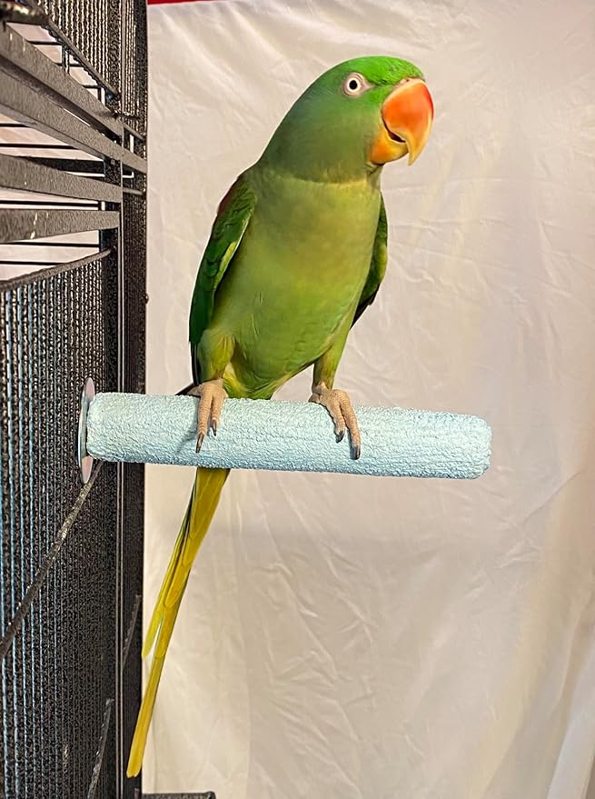 Polly's Pastels Nail Trimming & Beak Conditioning Safety Perch for Cockatiels, Cockatoos, Macaws, Parakeets, Budgies, Parrots and All Other Birds (Blue, Medium-1 1/4" Dia. x 8" Long)