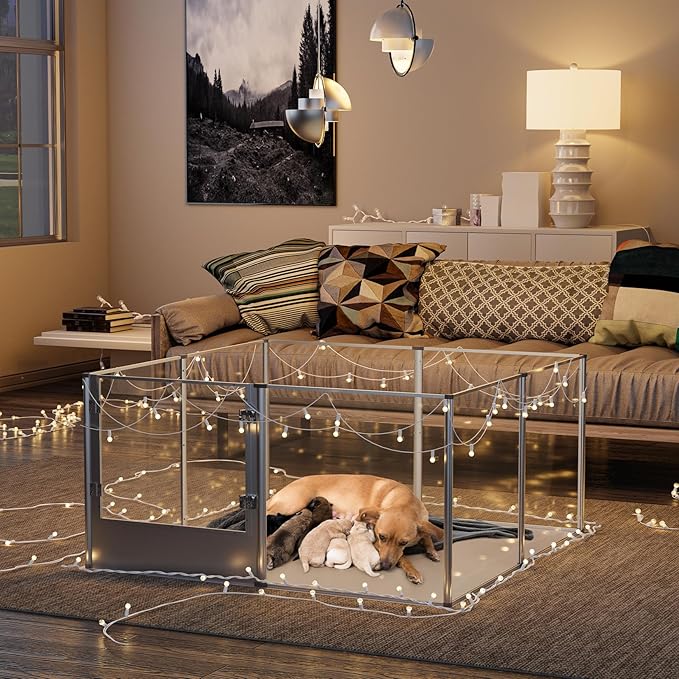 BingoPaw Clear Dog Playpen Fence: 32” Extra Tall Indoor Doggy Acrylic Pen Made by Metal Frame - 52”x52” Transparent Pet Whelping Box with Waterproof Bottom