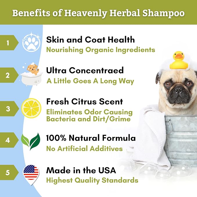 Wholistic Pet Organics Pet Shampoo Concentrate: USDA Organic Cat and Dog Shampoo for Sensitive Skin and Coat Support - Mild and Non-Irritating, Natural, Non-Toxic, Sulfate-Free, & Cruelty-Free - 2 Oz