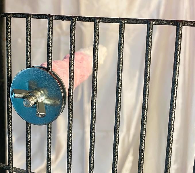Polly's Edible Cuttlebone Calcium Bird Cage Perch for Budgies, Parakeets, Amazons, Blue & Golds, Macaws and Cockatoos.… (Strawberry, Medium)