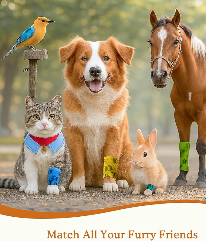 Paw Design Self Adhesive Wrap, First Aid Medical Tape for Dogs Cats & Horses, Elastic Bandage for Daily Paw & Leg Care, 2 Inch 8 Rolls, Lake Breeze Paw