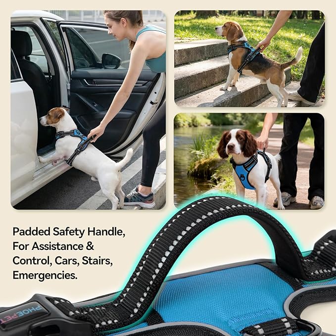 PHOEPET No Pull Dog Harnesses for Small Puppies Reflective Adjustable Front Clip Vest with 2 Metal Leash Attachment Hooks Soft Handle(S, Blue)