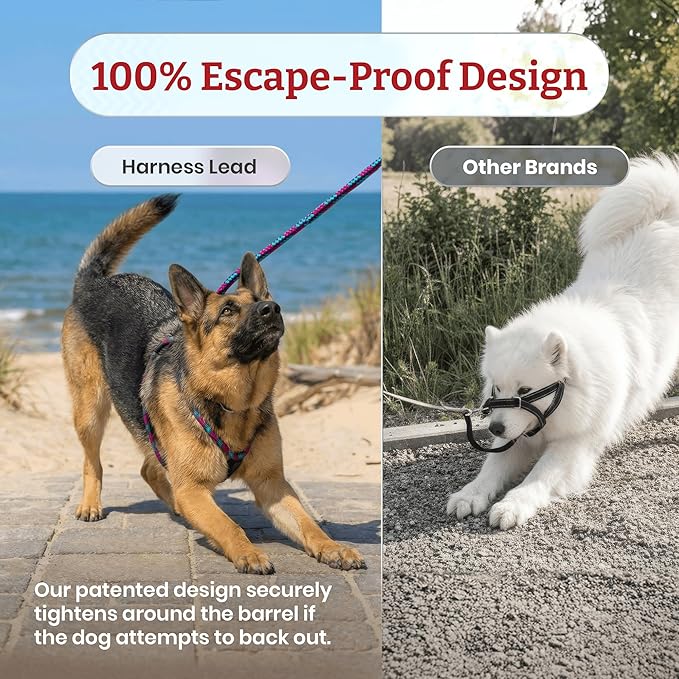 Harness Lead No Pull Dog Harness and Leash Set, Anti Pull Dog Harness for All Breeds and Sizes, One-Piece Cushioned Rope Design Safely Prevents Escaping and Pulling (Medium/Large, Red/Reflective)